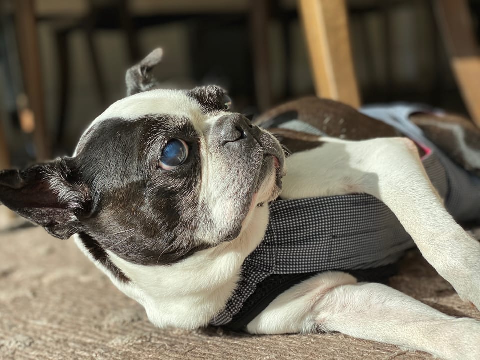 go gently on your way