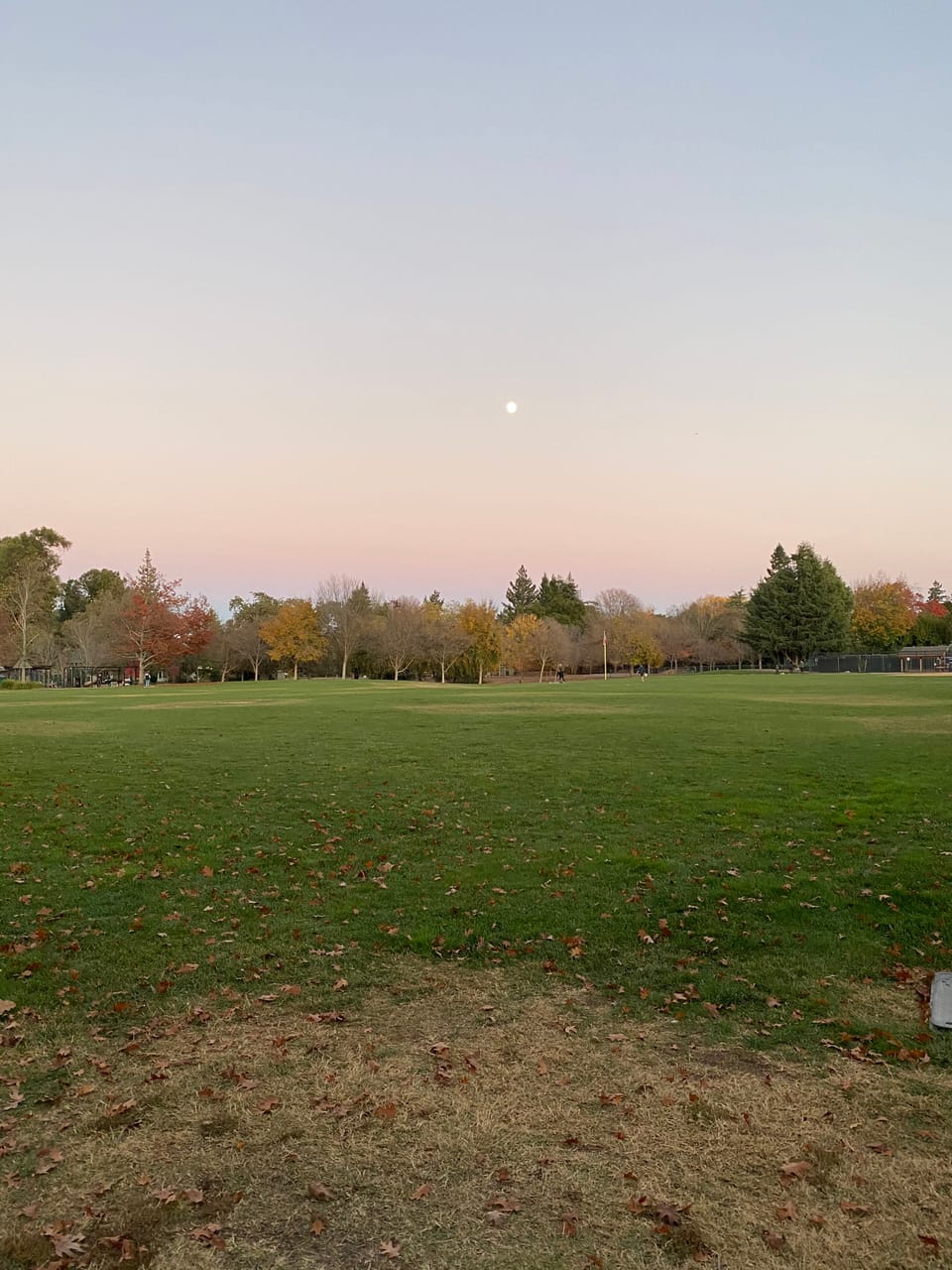 honeyed light beneath the door