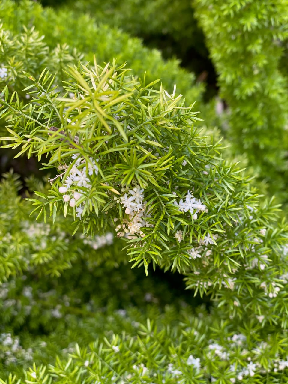 some ways to feel better